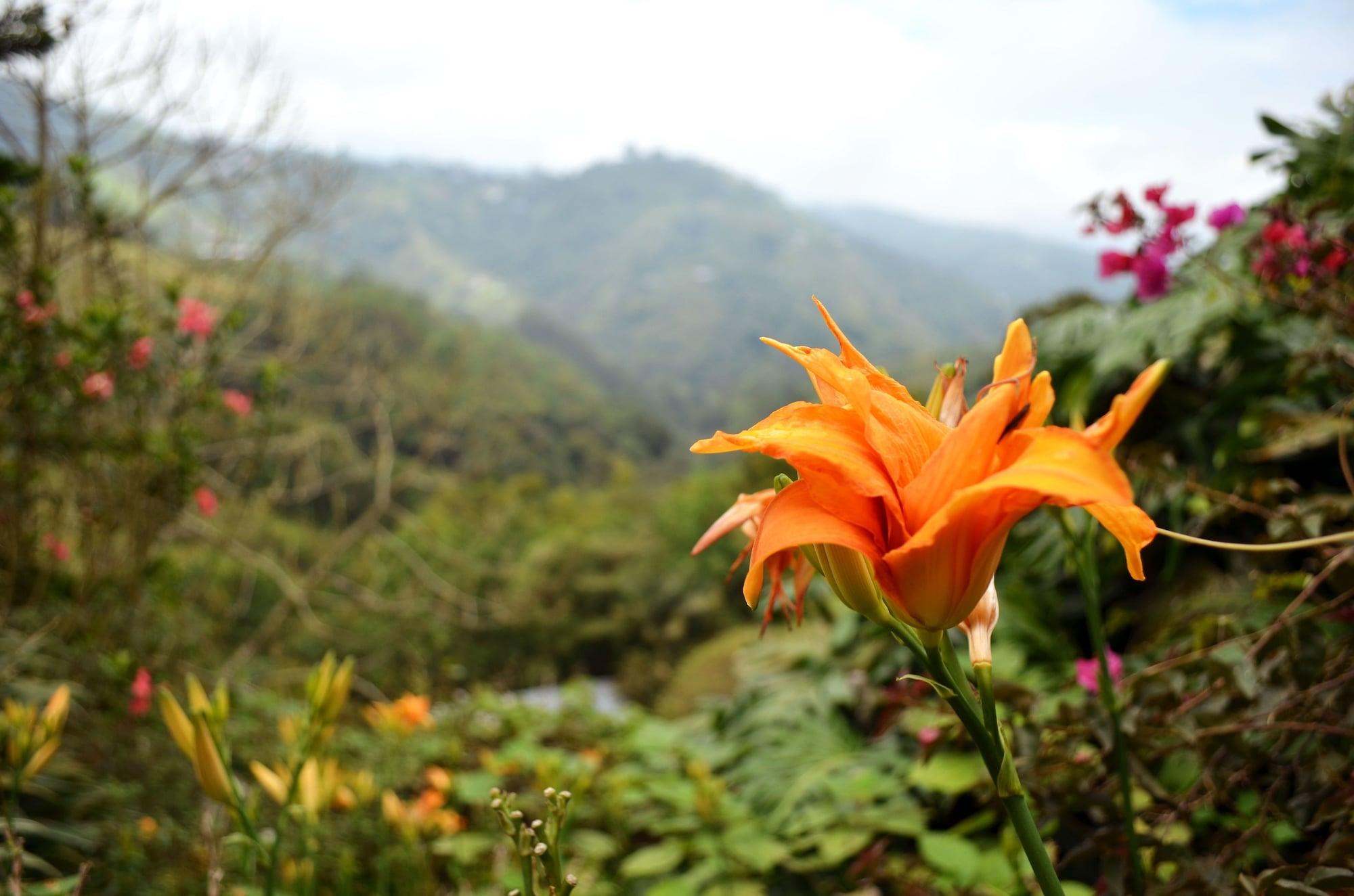 Eco Lodge La Juanita La Linda Екстериор снимка