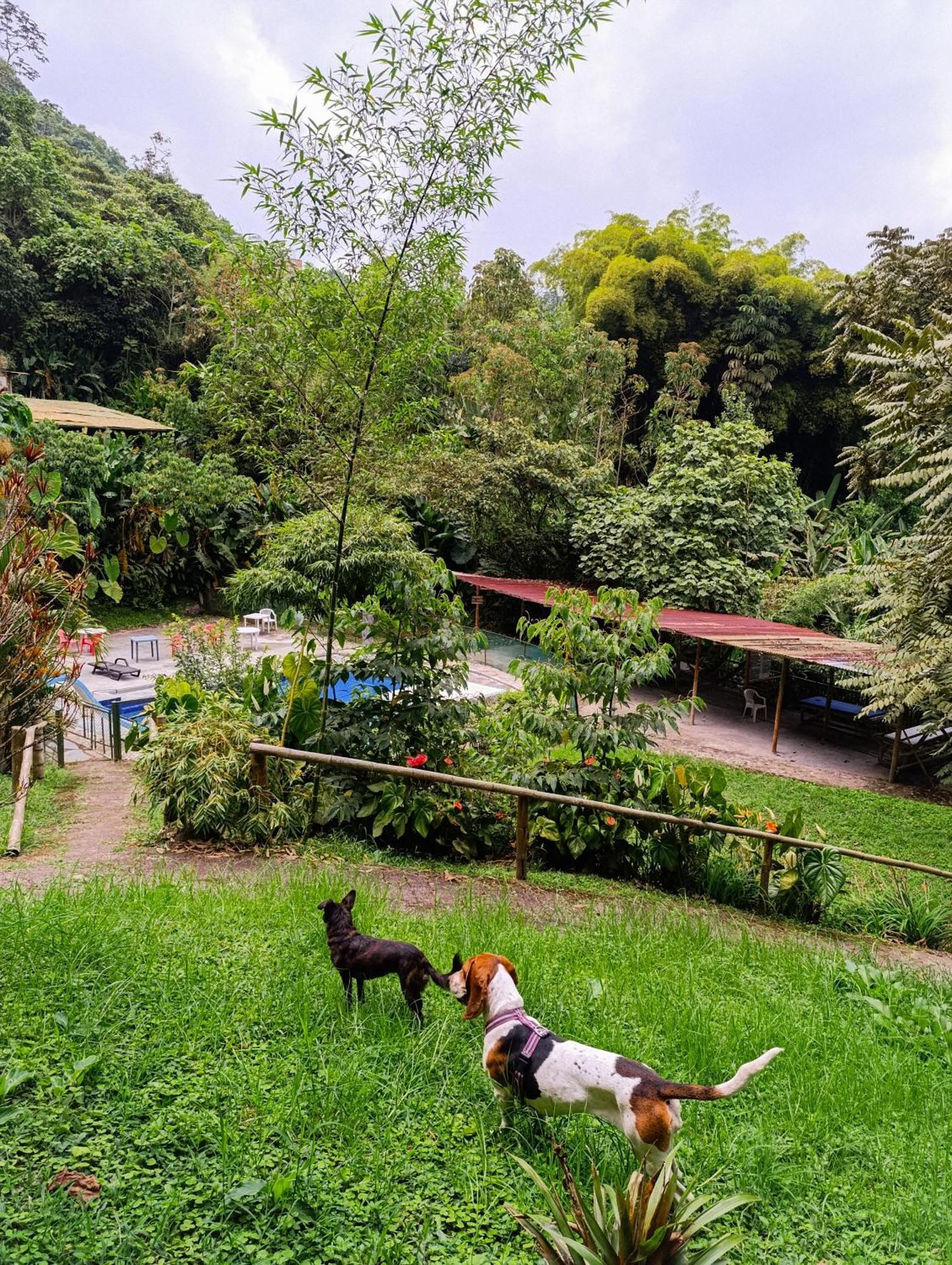 Eco Lodge La Juanita La Linda Екстериор снимка