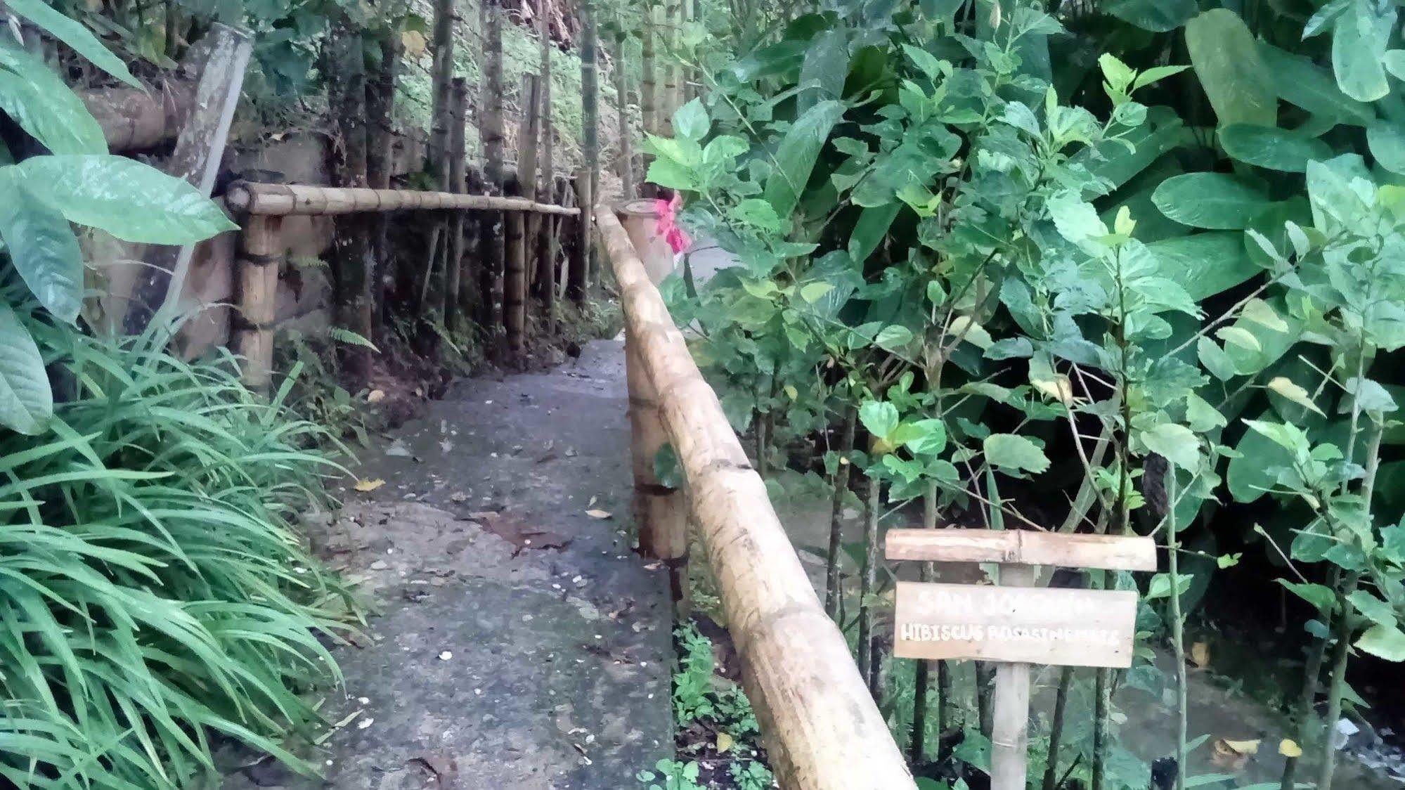 Eco Lodge La Juanita La Linda Екстериор снимка